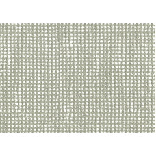 19107 140 Slow Spirea